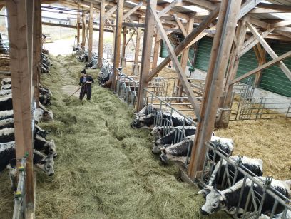 IMG_20240401_125352redim