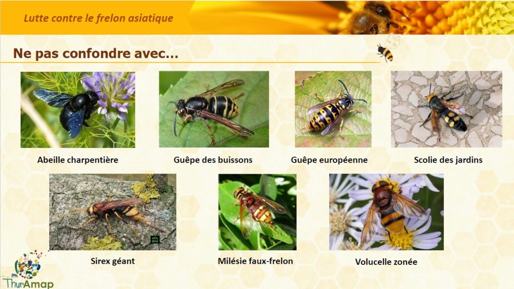 Reconnaitre 4