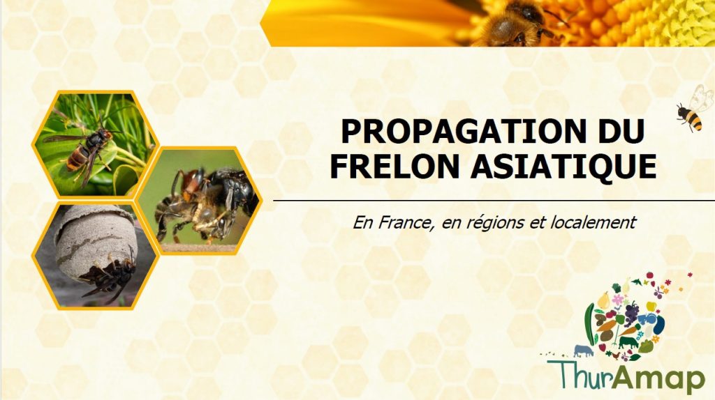 Propagation 1