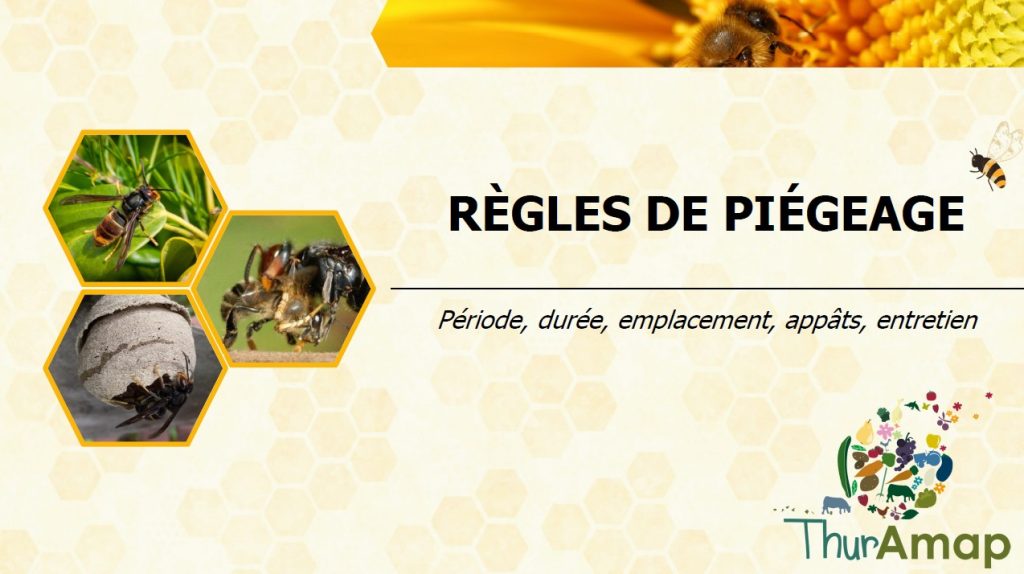 Règles 1
