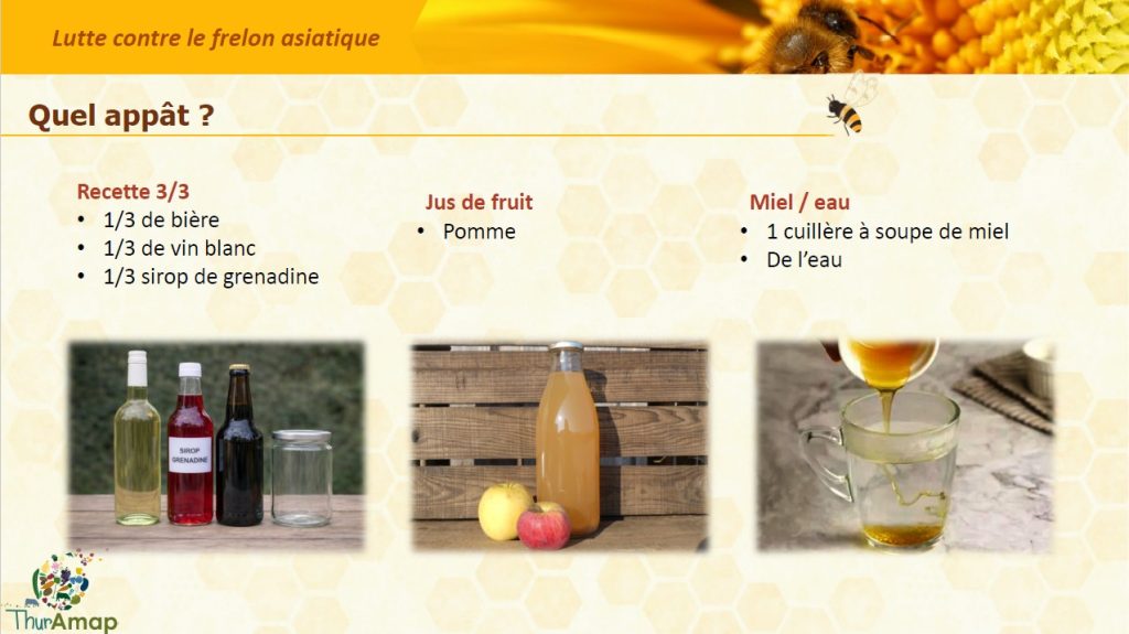 Règles 6