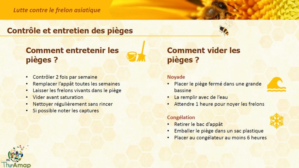 Règles 7